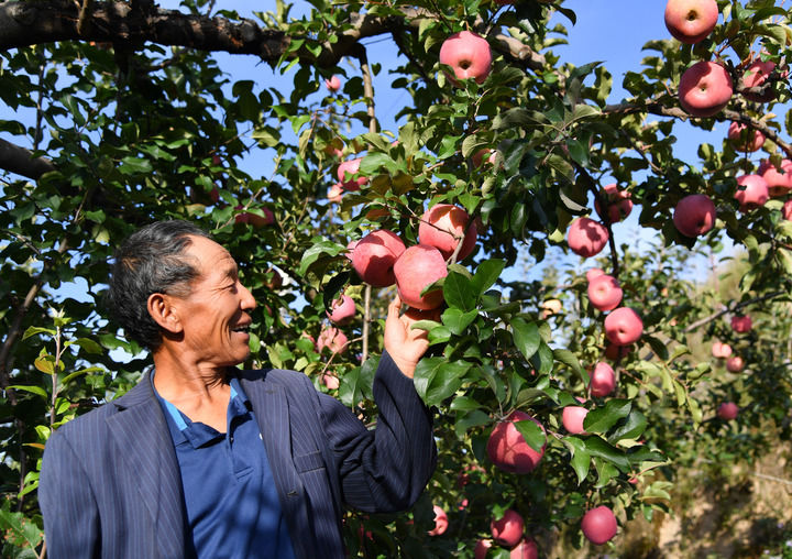 红色热土焕新颜——再访陕甘宁革命老区