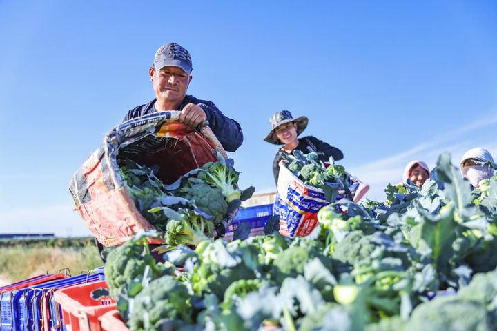 红色热土焕新颜——再访陕甘宁革命老区