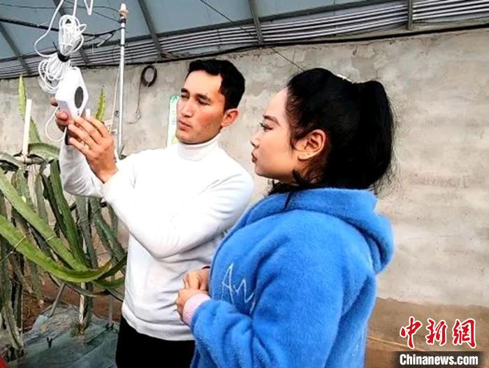 新疆智慧农业进展显著