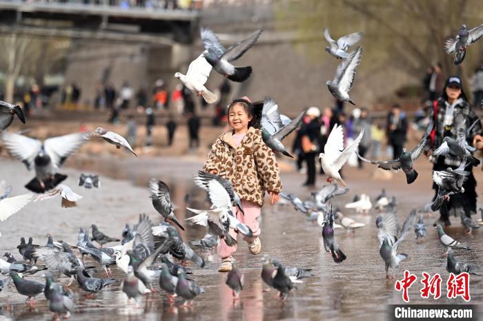 兰州春意渐浓黄河风情线成休闲好去处