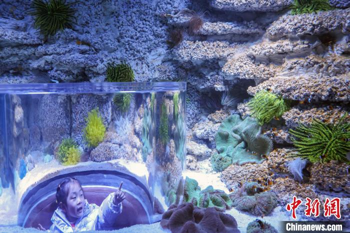 演绎绚丽海底奇观“珊瑚世界”亮相南京