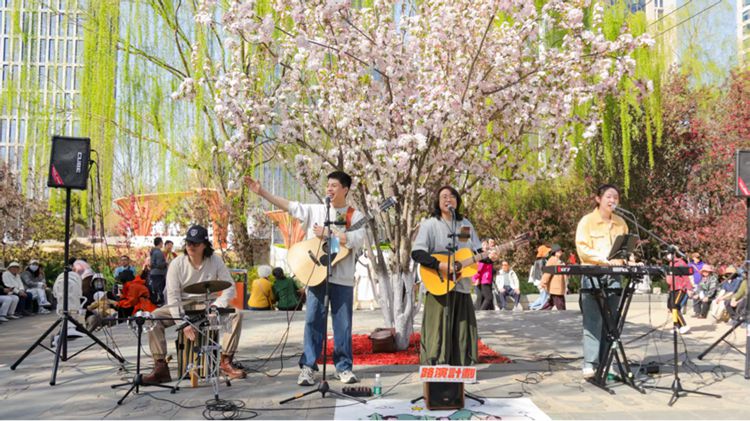 “花开北京”赏春系列活动启幕 5000余株海棠绽放“海棠花溪”