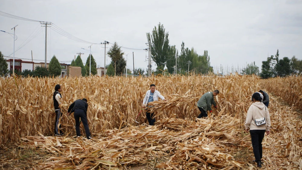 追寻学生英烈 引领向上向善