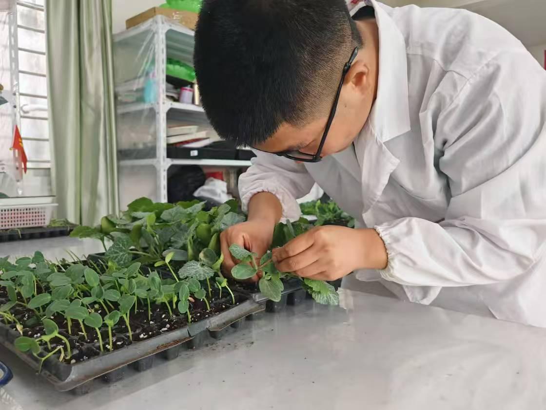 红寺堡区职业技术学校：10块沉甸甸的金牌背后