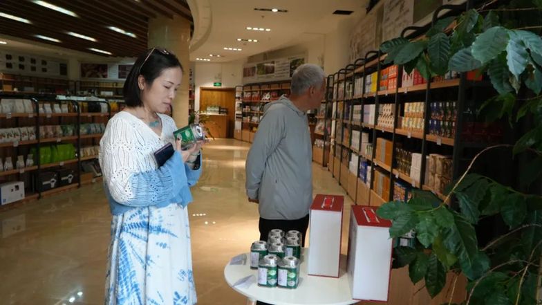 从“云咖”到“国豆”：普洱思茅咖啡的醇香进化论