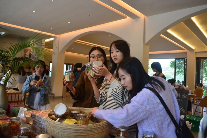 从“云咖”到“国豆”：普洱思茅咖啡的醇香进化论