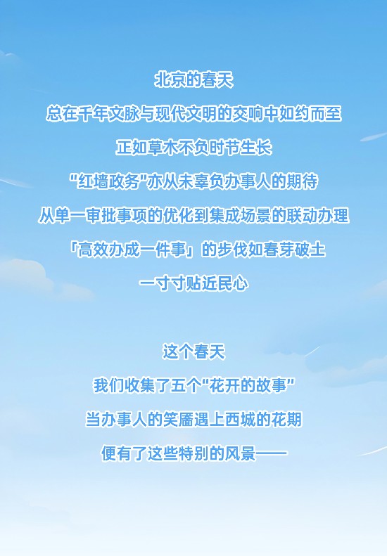 政务服务，每一寸成长都向着民心方向