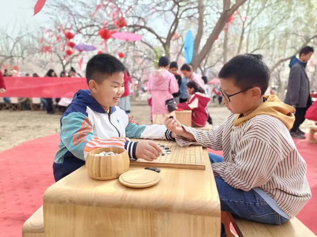 乌什：以杏为媒 拓宽群众增收致富路