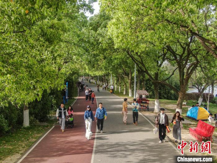 江西南昌：湿地公园绿意盎然民众踏春享悠闲时光