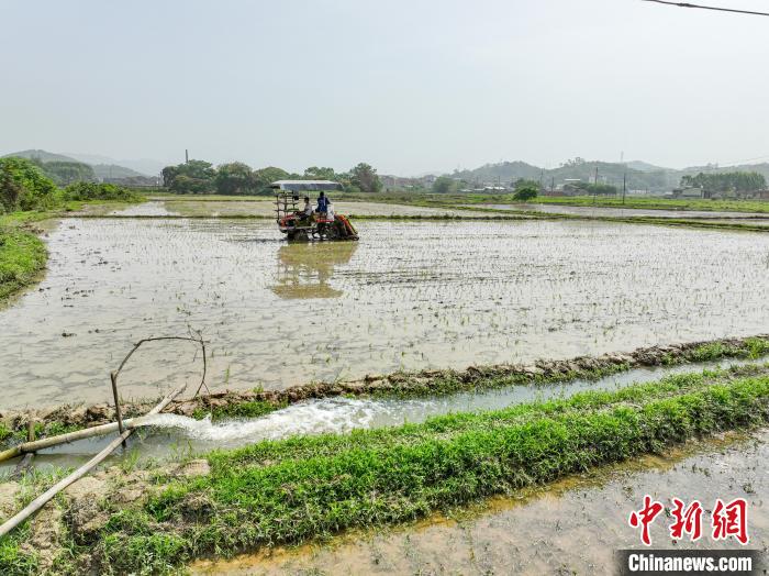 广西博白：农机助力抗旱保春耕
