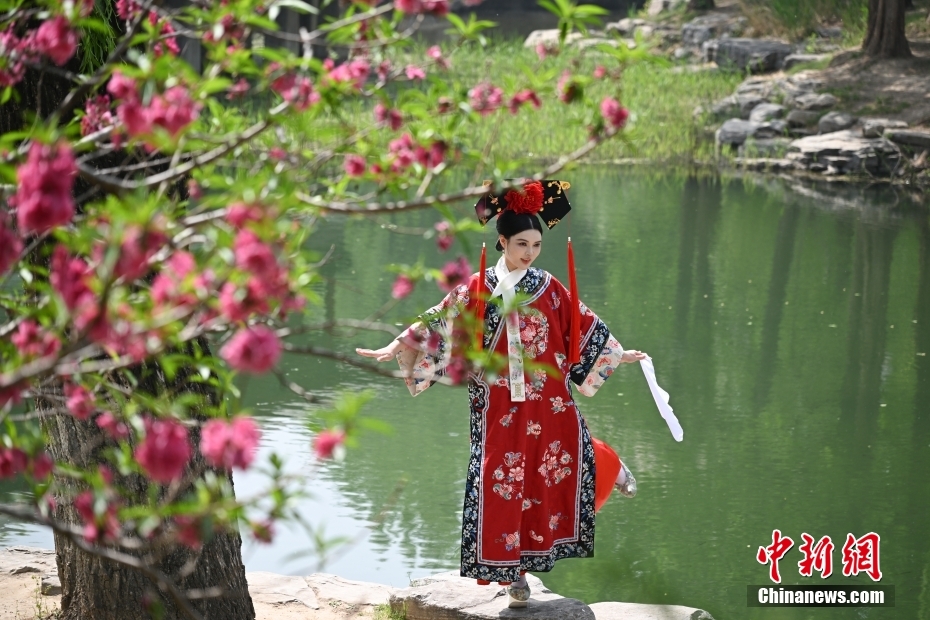 北京中山公园春花争艳引游客