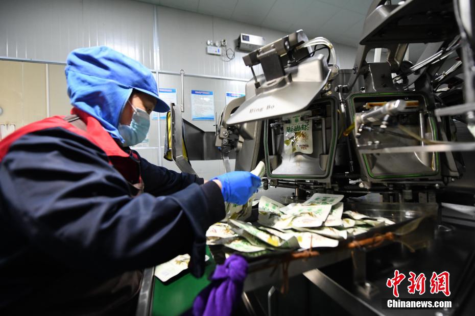 福建霞浦：35万亩“海上田园”铺就富民路