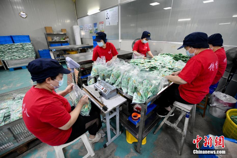 福建霞浦：35万亩“海上田园”铺就富民路