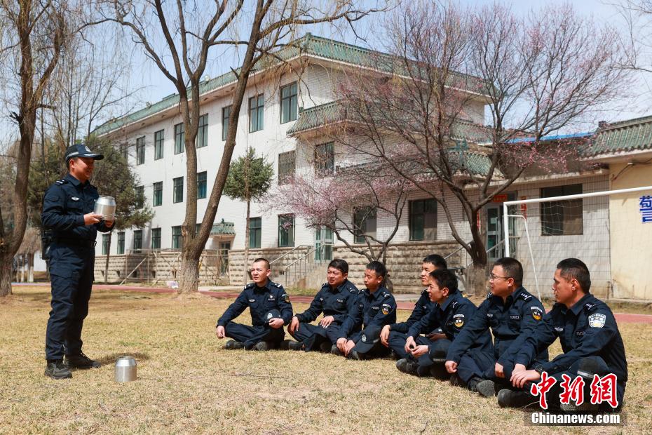 西宁警犬训练日常：无言“战友”练就硬核技能