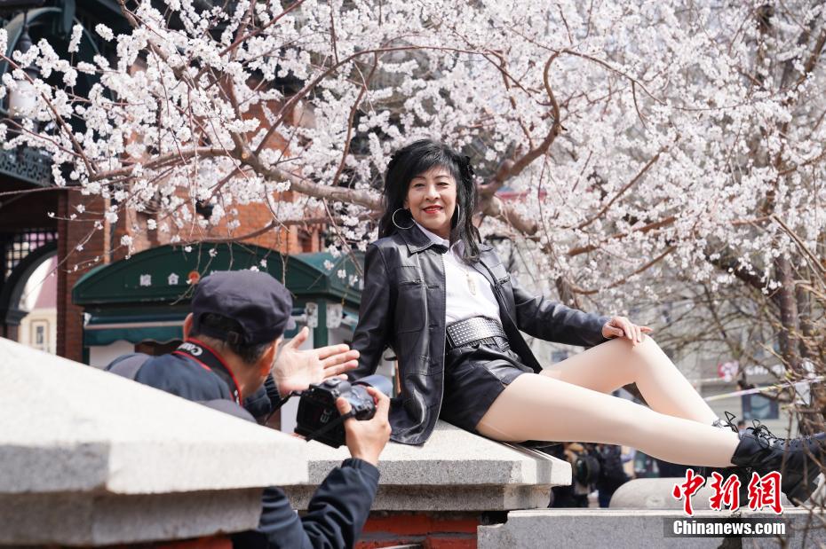 哈尔滨索菲亚广场桃花初放