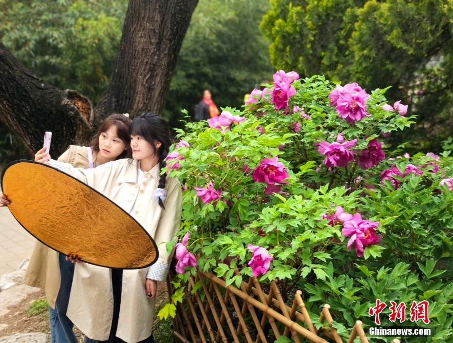北京：国家植物园雨中花海景色迷人