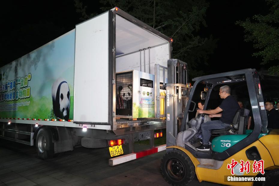 大熊猫“荷风”“兰韵”启程赴奥地利旅居