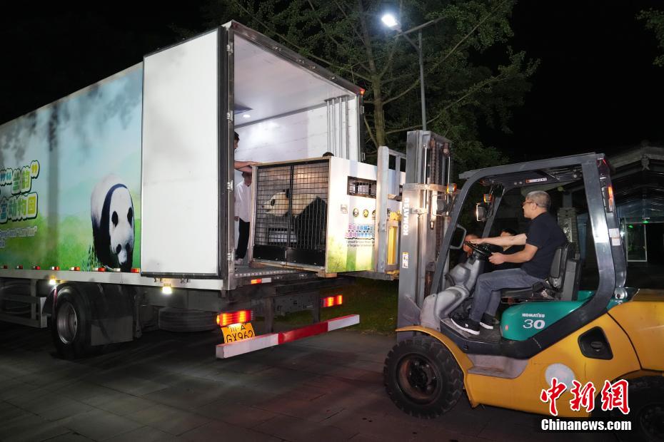 大熊猫“荷风”“兰韵”启程赴奥地利旅居