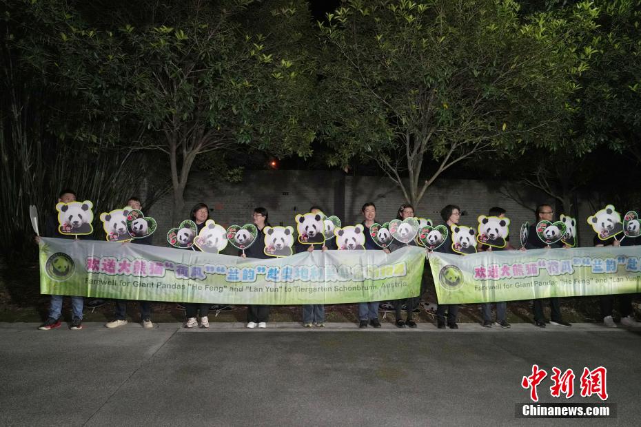 大熊猫“荷风”“兰韵”启程赴奥地利旅居