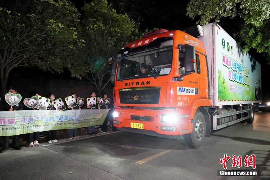 大熊猫“荷风”“兰韵”启程赴奥地利旅居