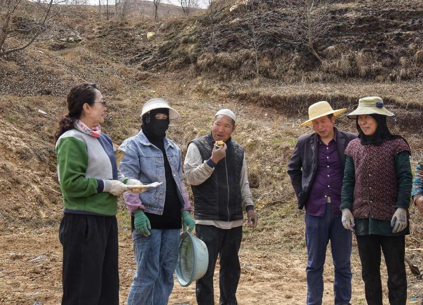 党建红播撒希望 科技绿滋养药香