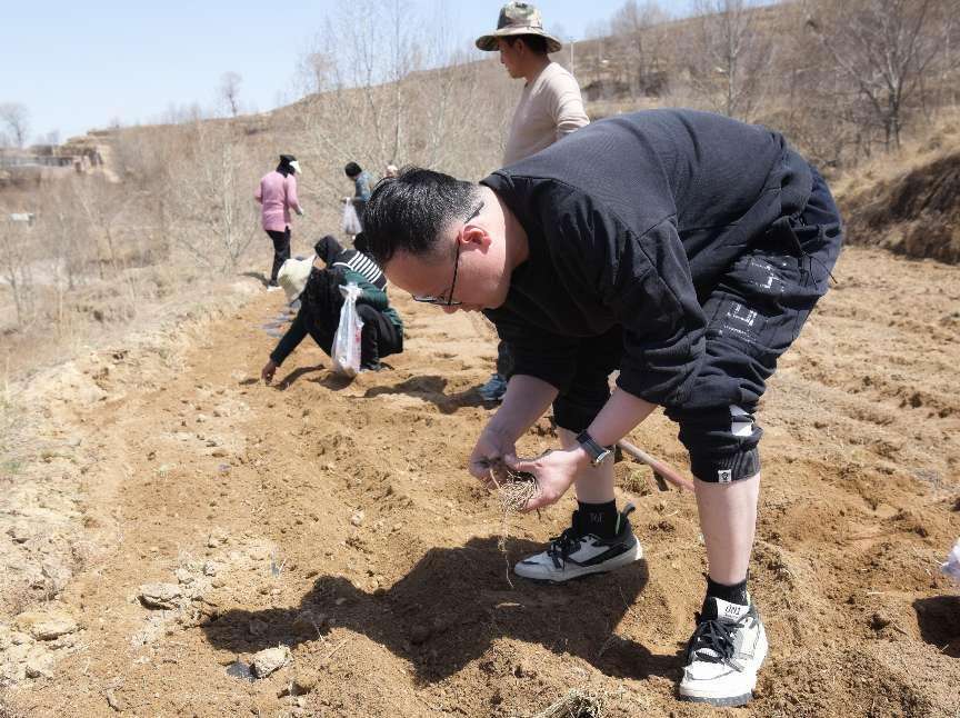 党建红播撒希望 科技绿滋养药香