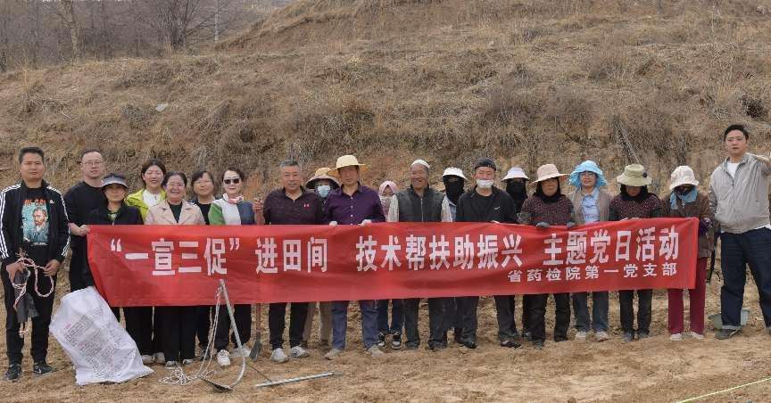 党建红播撒希望 科技绿滋养药香