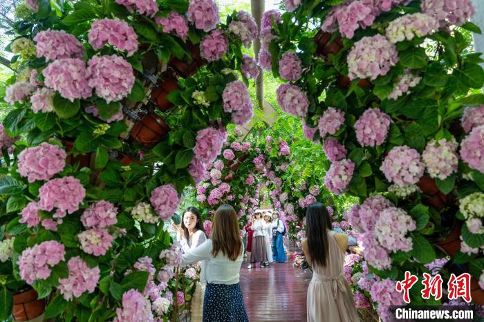 成都街头现“莫奈花园”民众沉浸式感受浪漫花海