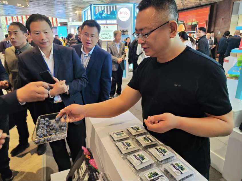 山东烟火气飘到上海 “好品山东 优特农品”集市在沪开启