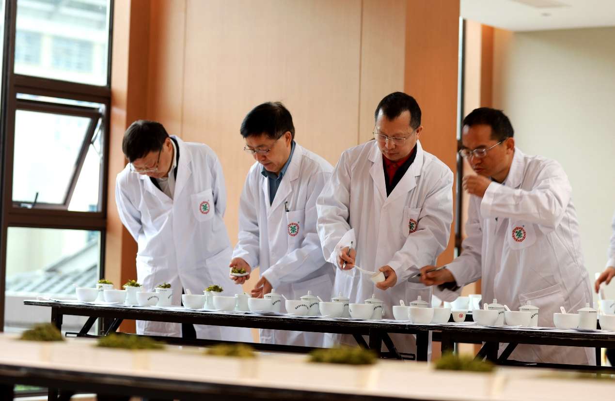湖北咸丰：青青小茶叶成了富民大产业