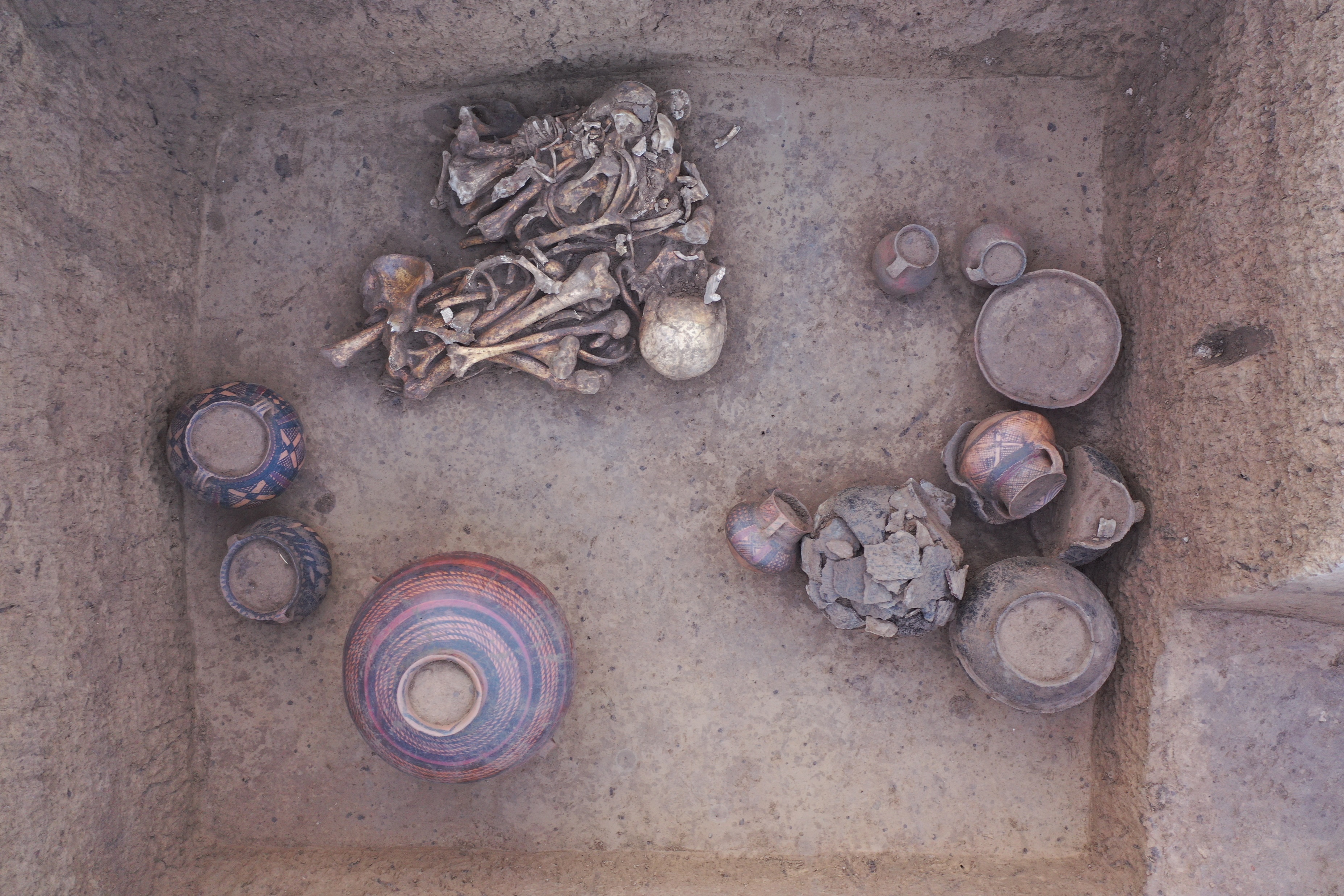 【文化中国行】寺洼遗址的故事，从这里开始