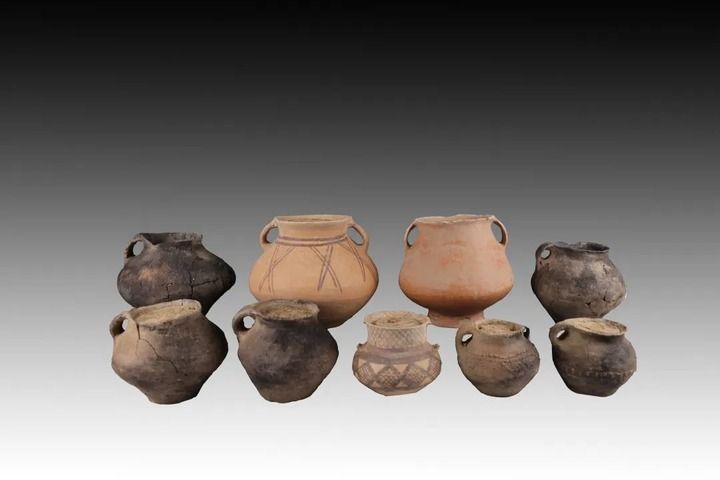 【文化中国行】寺洼遗址的故事，从这里开始