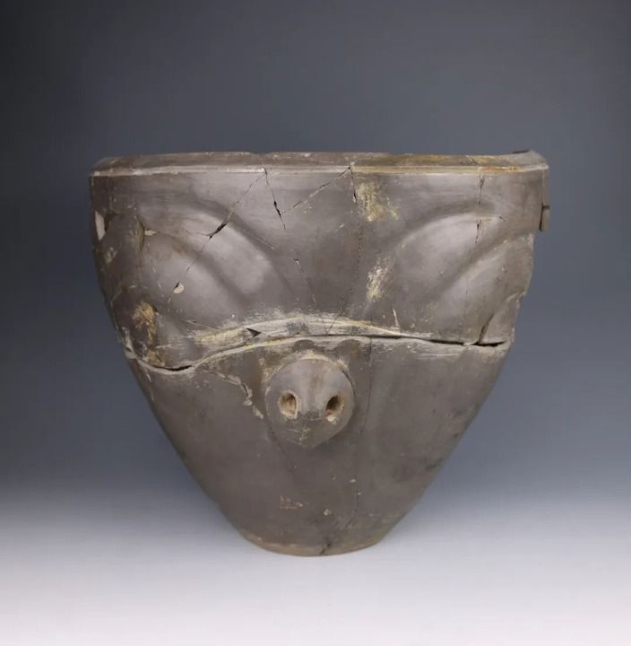 【文化中国行】寺洼遗址的故事，从这里开始