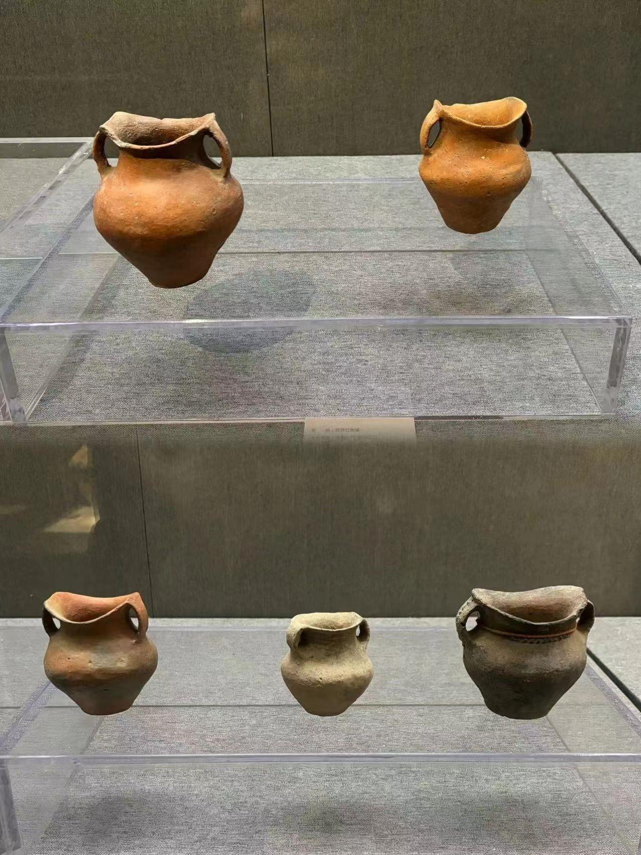 【文化中国行】寺洼遗址的故事，从这里开始