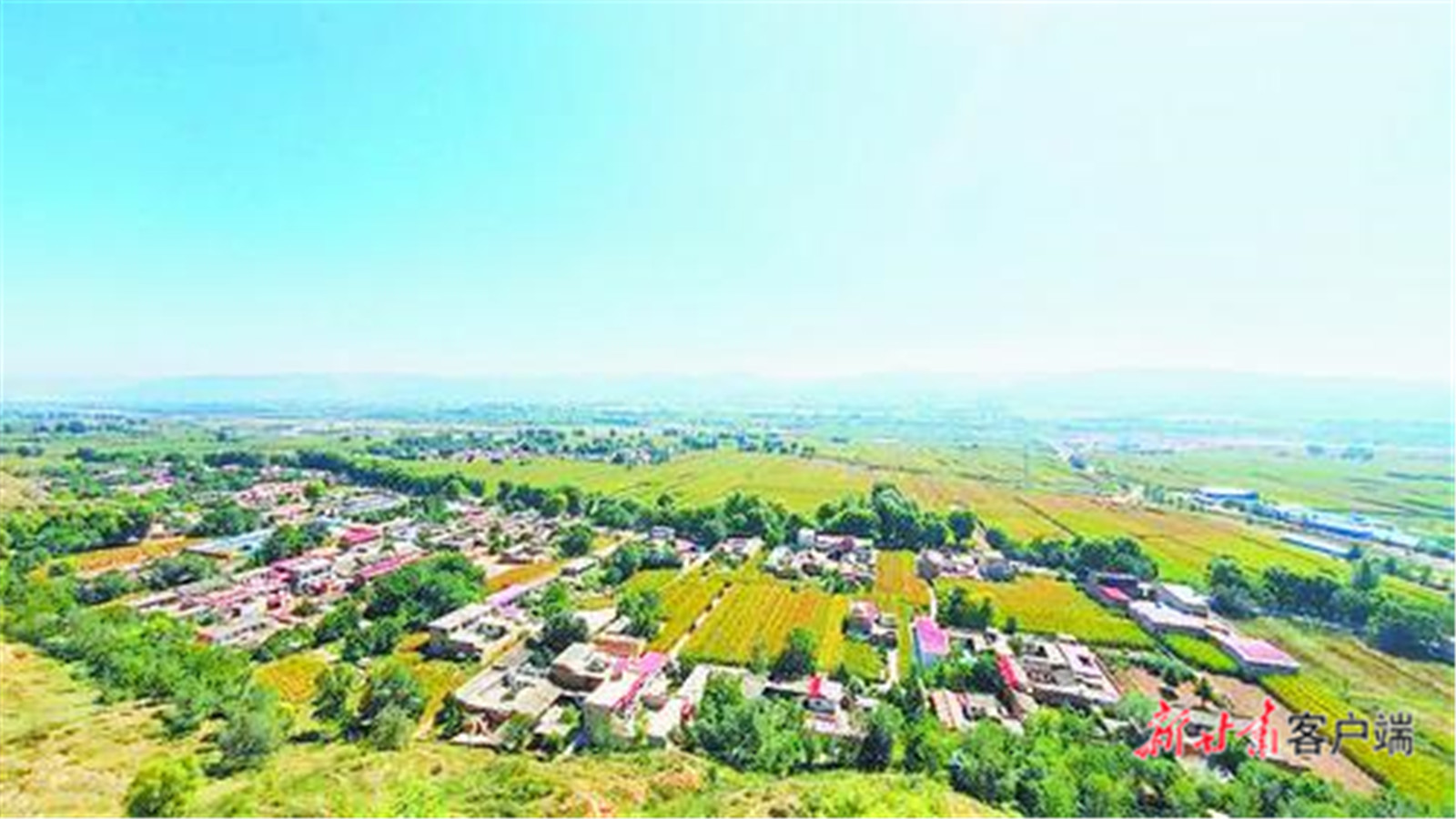 【文化中国行】寺洼遗址的故事，从这里开始