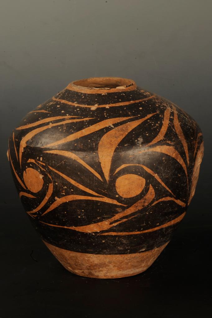 【文化中国行】寺洼遗址的故事，从这里开始