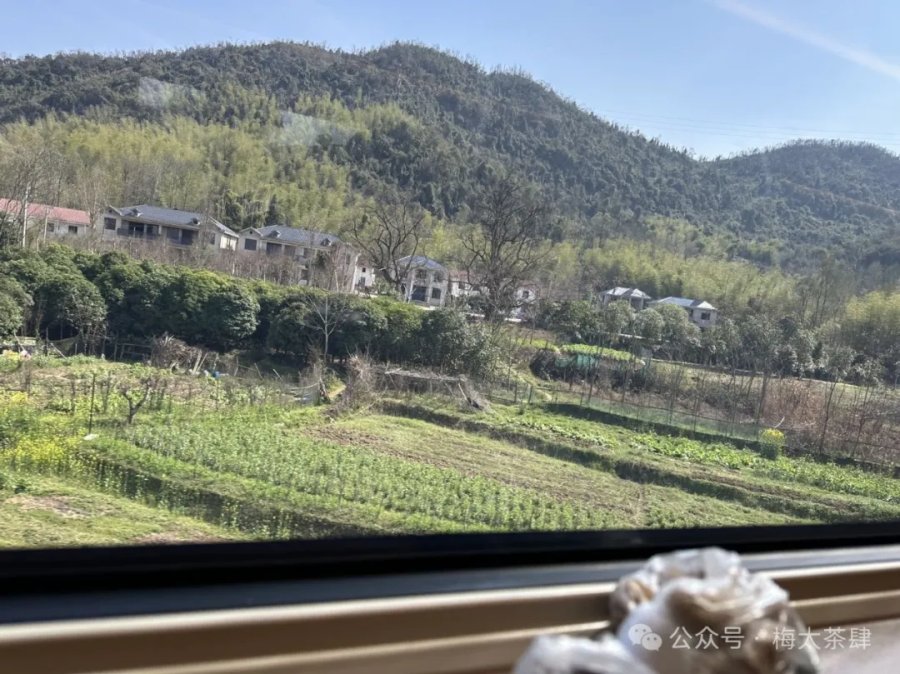 阳春三月,在深港相聚的我们 阳春三月,在深港相聚的我们