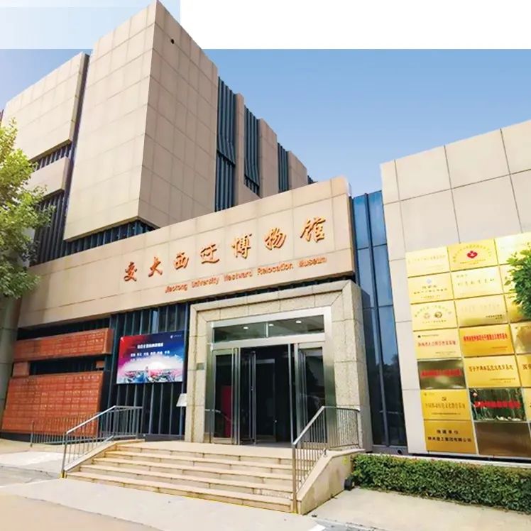 丝路起点上的馆藏智慧!陕西七所高校带你探秘→