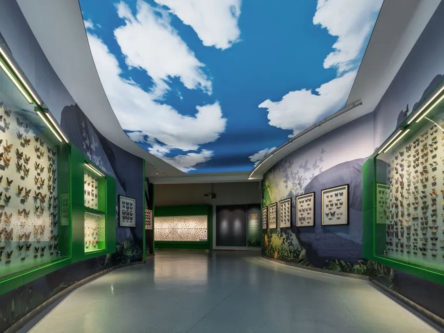 丝路起点上的馆藏智慧!陕西七所高校带你探秘→