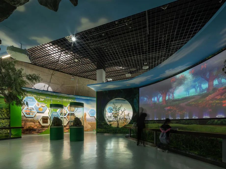 丝路起点上的馆藏智慧!陕西七所高校带你探秘→