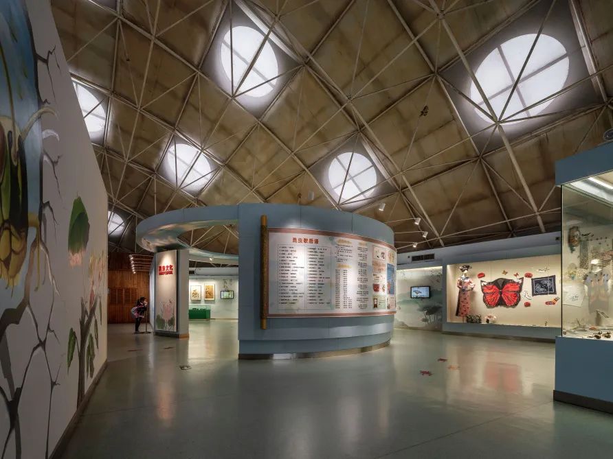 丝路起点上的馆藏智慧!陕西七所高校带你探秘→