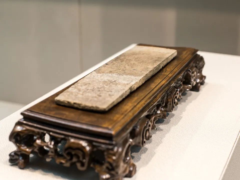 丝路起点上的馆藏智慧!陕西七所高校带你探秘→