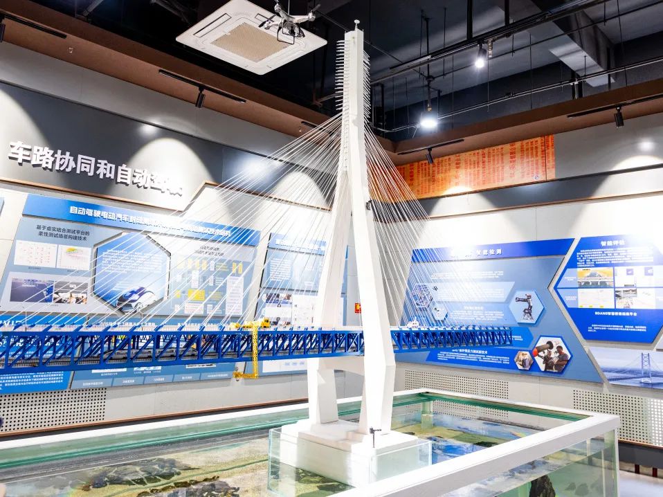 丝路起点上的馆藏智慧!陕西七所高校带你探秘→