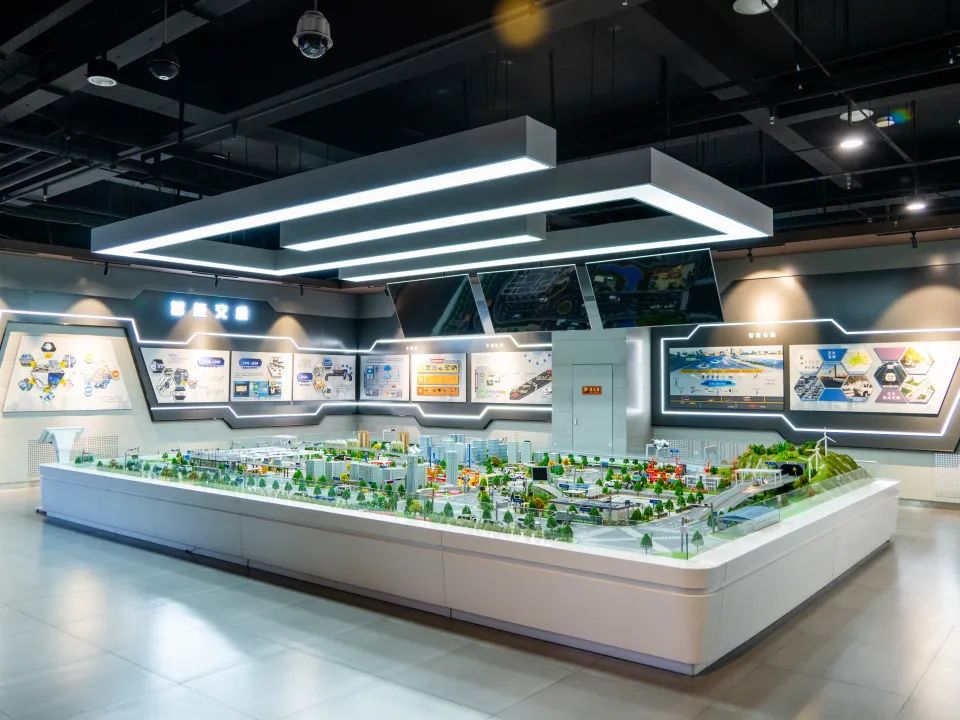 丝路起点上的馆藏智慧!陕西七所高校带你探秘→