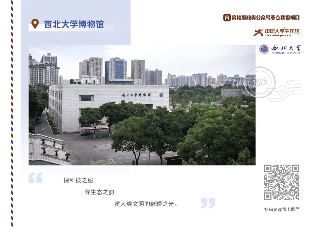 丝路起点上的馆藏智慧!陕西七所高校带你探秘→