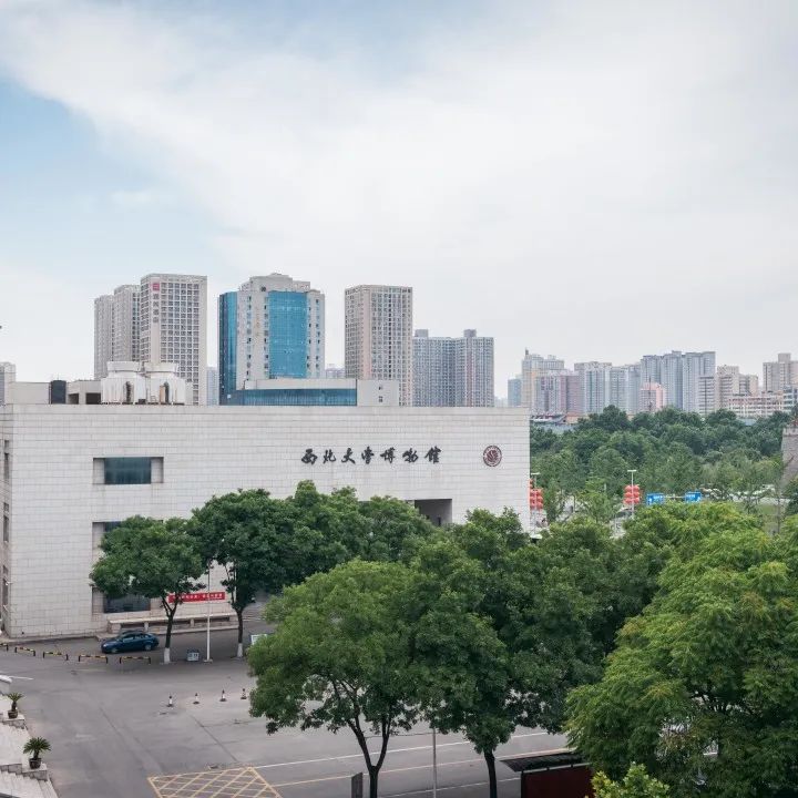 丝路起点上的馆藏智慧!陕西七所高校带你探秘→