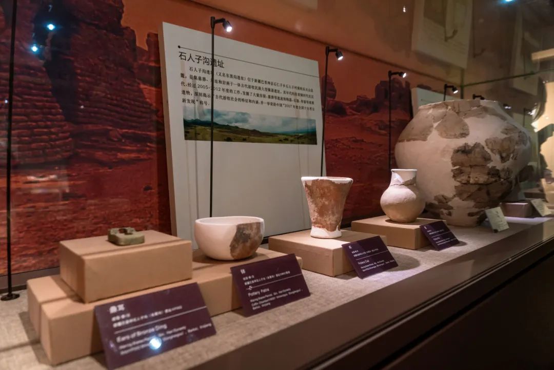 丝路起点上的馆藏智慧!陕西七所高校带你探秘→