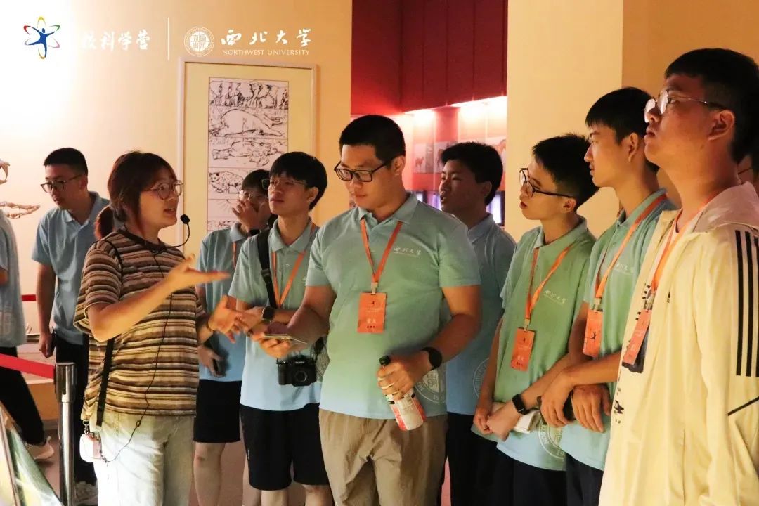 丝路起点上的馆藏智慧!陕西七所高校带你探秘→