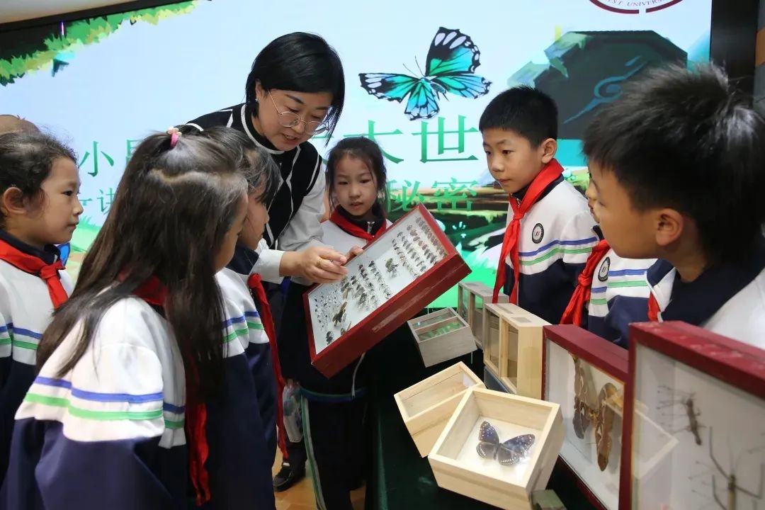 丝路起点上的馆藏智慧!陕西七所高校带你探秘→