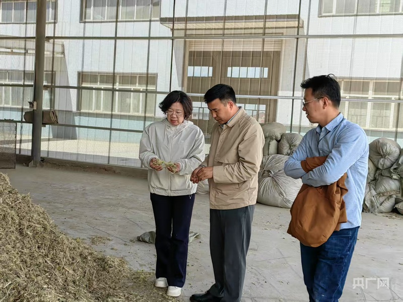 引“帮扶”为“智变”，商都县绘就高质量发展新图景